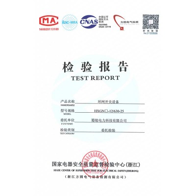 HXGN□-12/630-25環(huán)網(wǎng)開關(guān)設(shè)備檢驗(yàn)報(bào)告